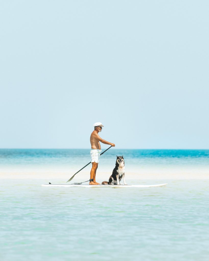 Man and his dog paddle boarding